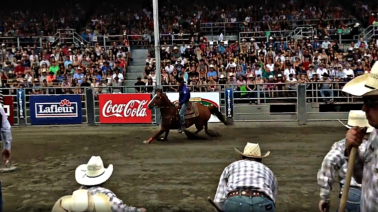 Two riders executing a mid-gallop horse swap