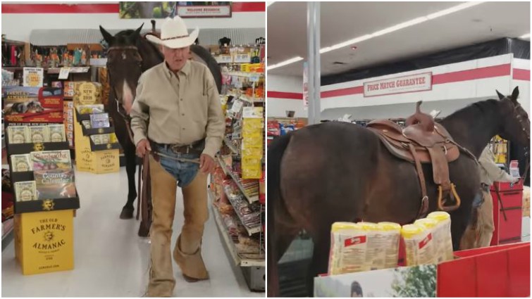 Cowboy with Horse at Tractor Supply