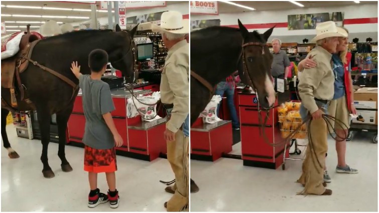 Unusual Pet Shopping Adventure