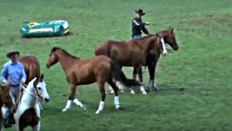 Rider supporting horse