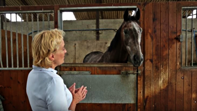 Opera singer performing for horses
