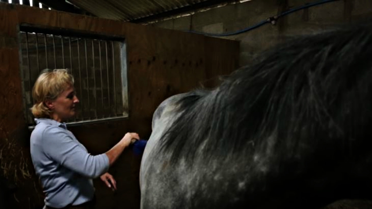 Close-up of horse enjoying music
