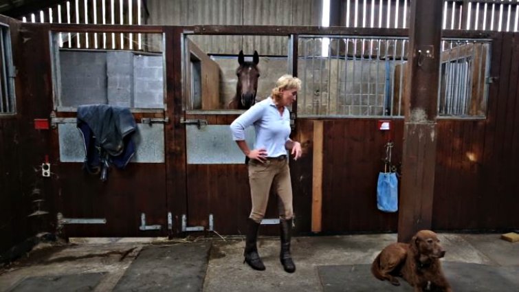 Horses responding to opera performance