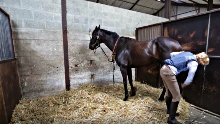 Opera singer and horses together