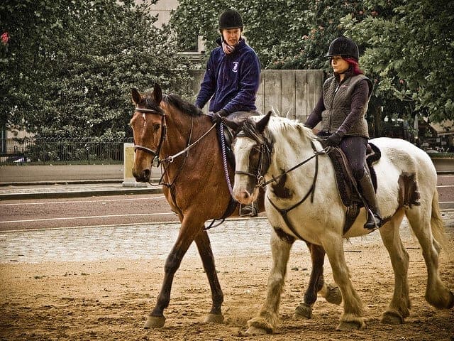 Horse ownership benefits