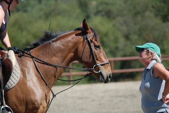 Horse therapy and mental health