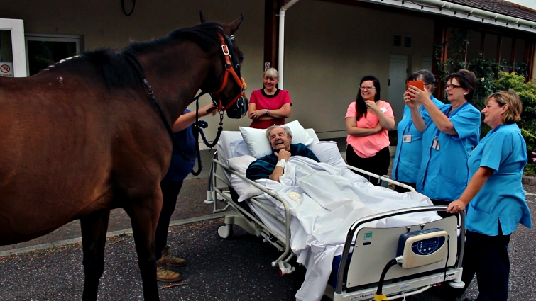 Patrick meeting Victor the horse