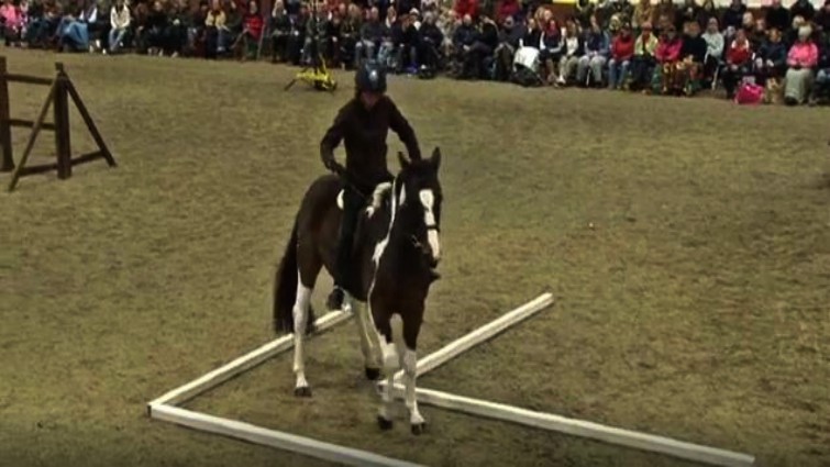 Pie competing