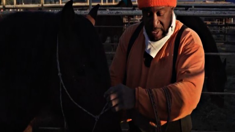 Emotional bond between inmate and wild horse
