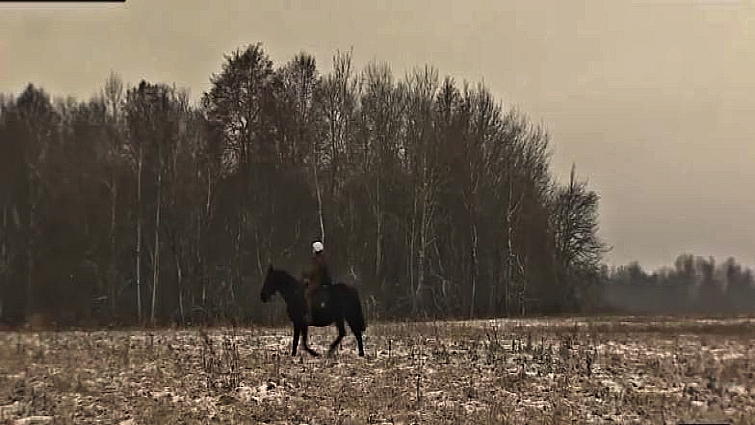 Maria Rubtsova with her horse delivering mail in rural Russia
