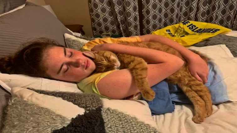 Rescued pet of the month - animal rehabilitation