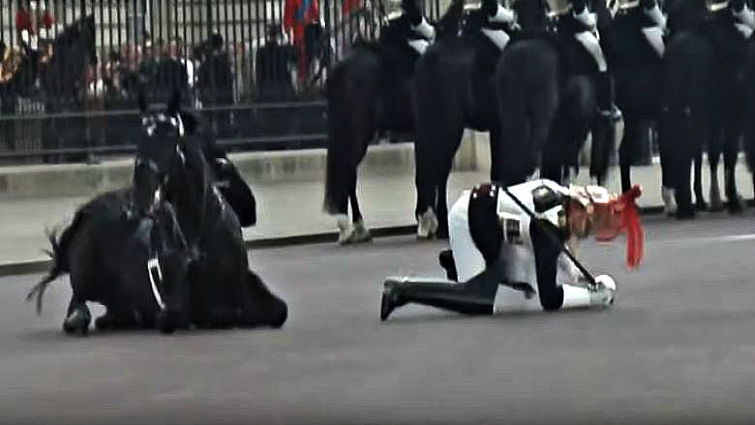 Queen's Guard mounted on horse