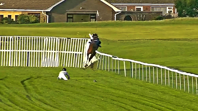 Jean Valjean racehorse escape attempt