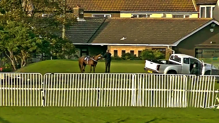 Horse running on golf course