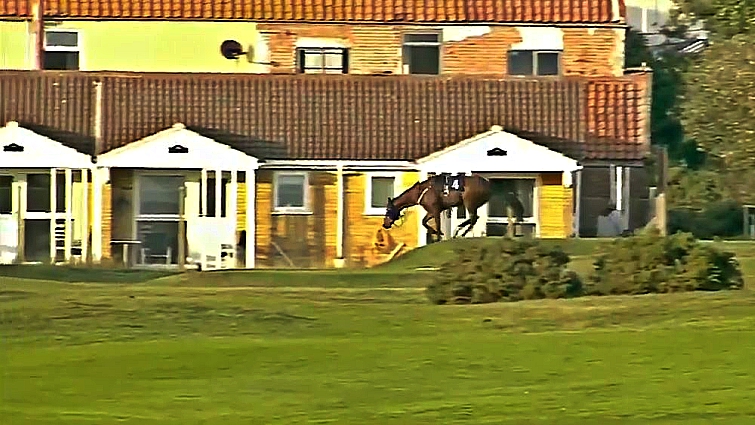 Racecourse officials attempting to catch runaway horse