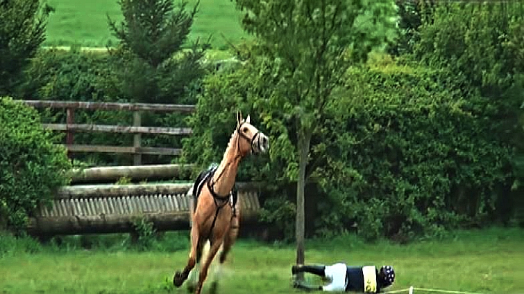 Horse reacting in water