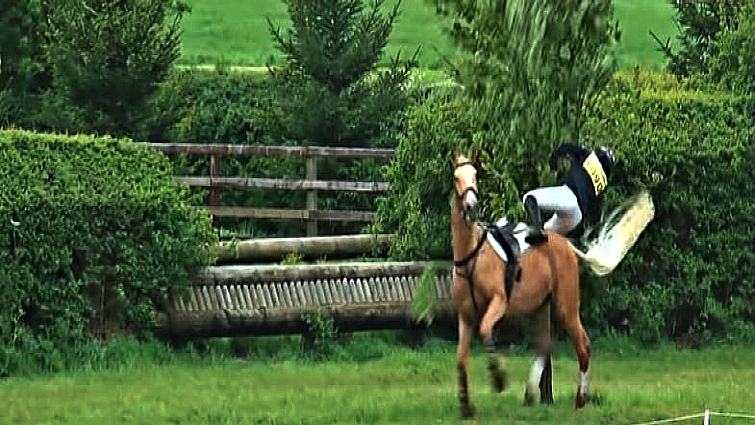 Horse and rider in water