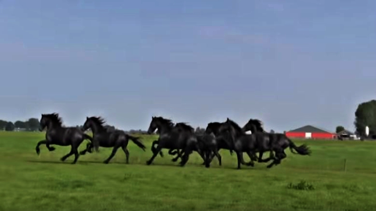 This image has an empty alt attribute; its file name is rfh8.jpg