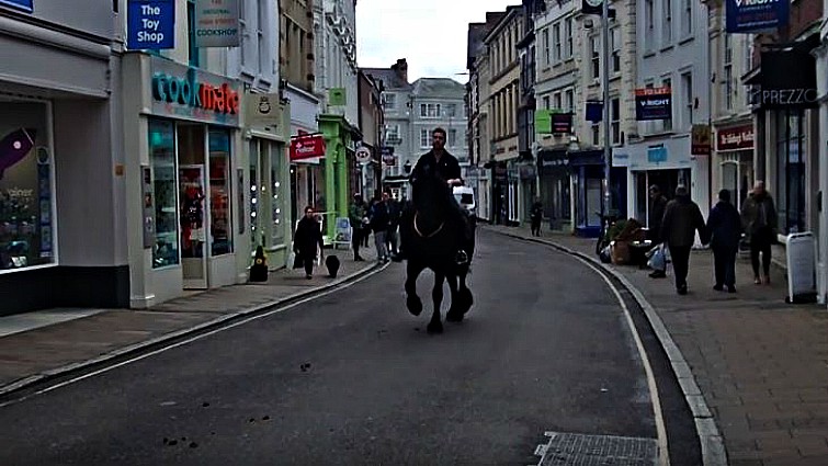 Amadeus the black stallion outside Lloyds Bank