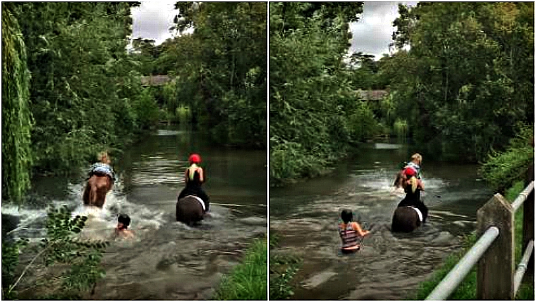 Pony aftermath of river incident