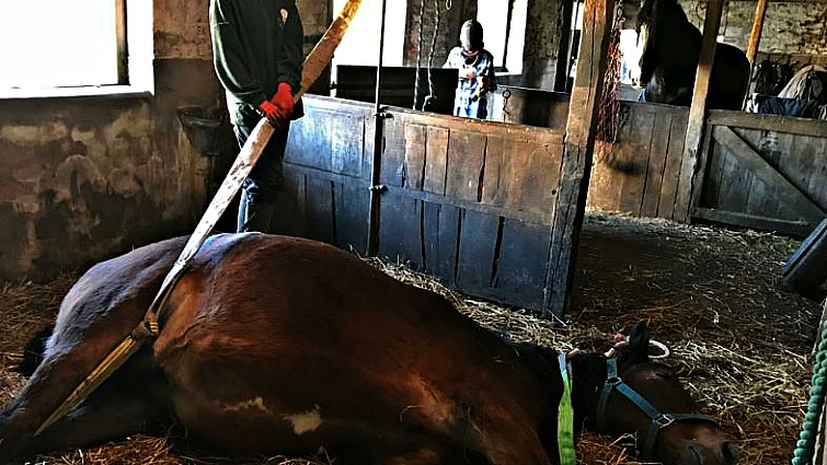 This image has an empty alt attribute; its file name is rlh1.jpg