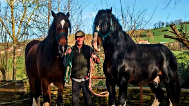 This image has an empty alt attribute; its file name is rlh4.jpg