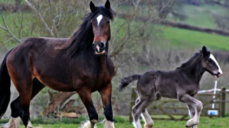 This image has an empty alt attribute; its file name is rlh6.jpg