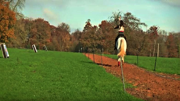 Horse archer in action