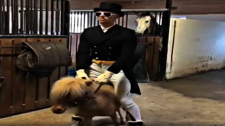 Fun equestrian activities