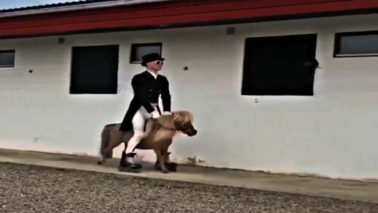 Equestrian creativity