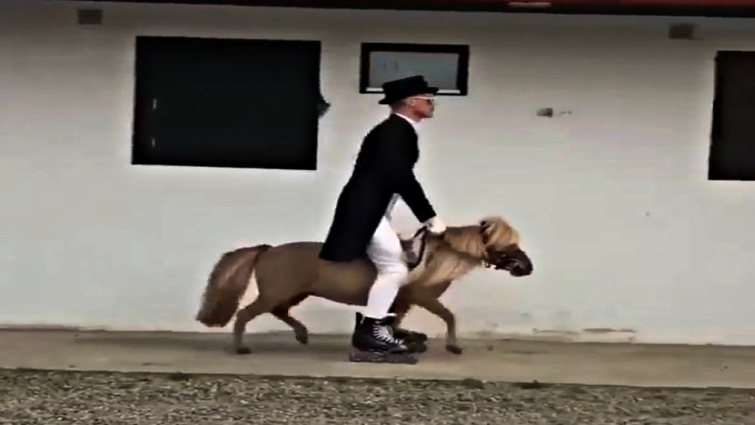 Pony and owner bonding