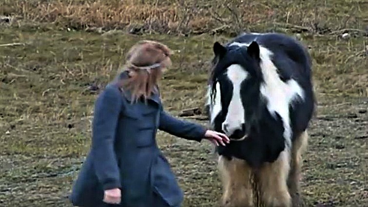 This image has an empty alt attribute; its file name is rwhr2.jpg