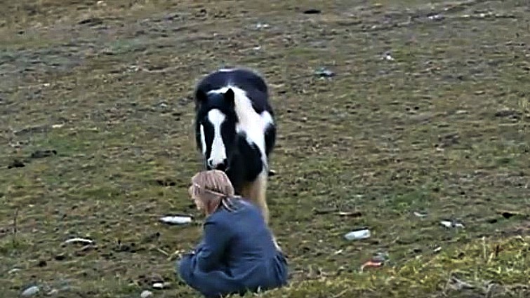 This image has an empty alt attribute; its file name is rwhr4.jpg