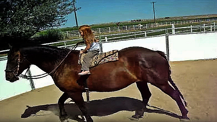 Little rider in arena with giant horse
