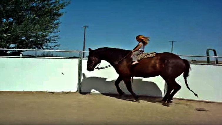Young equestrian with her horse friend