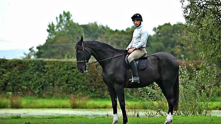 Soldier and military horse reunion