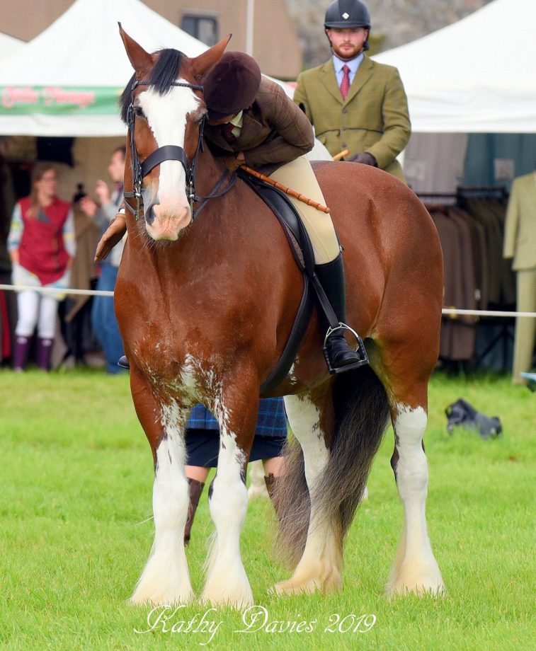 Sam Winn competing at Blair Castle International Horse Trials