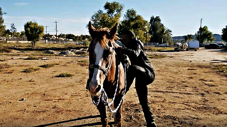 Mexican horsemanship traditions