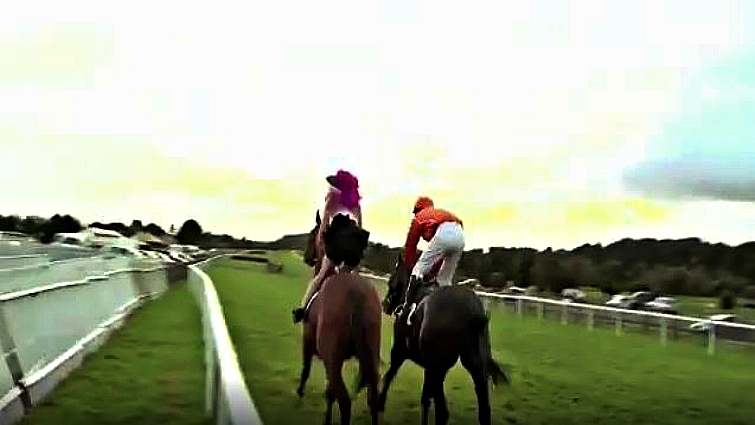 Security escorting spectators from horse race