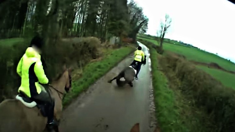 This image has an empty alt attribute; its file name is shfa2.jpg