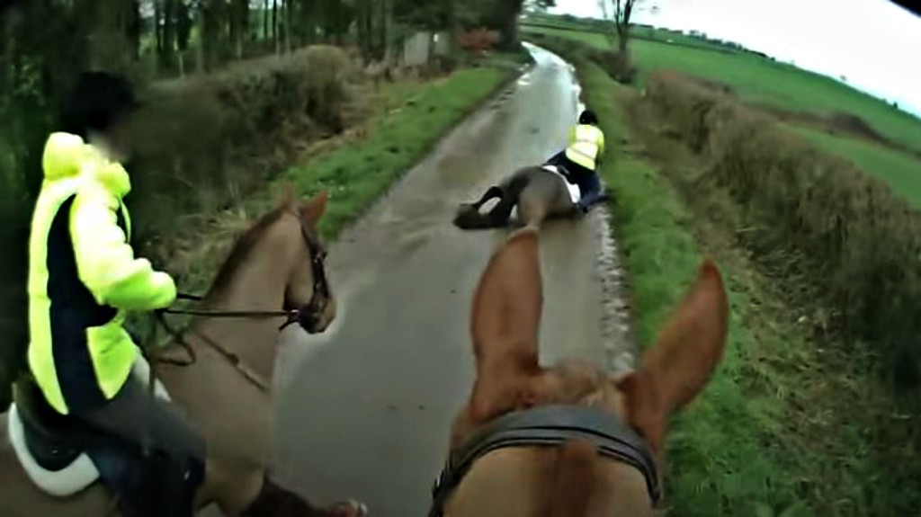 This image has an empty alt attribute; its file name is shfa3.jpg