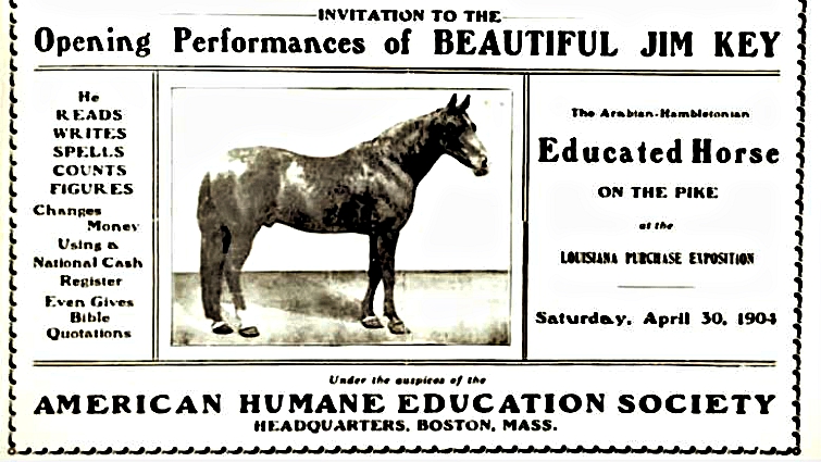 Jim Key the smartest horse