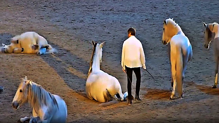 Jean-Francois Pignon with Horses