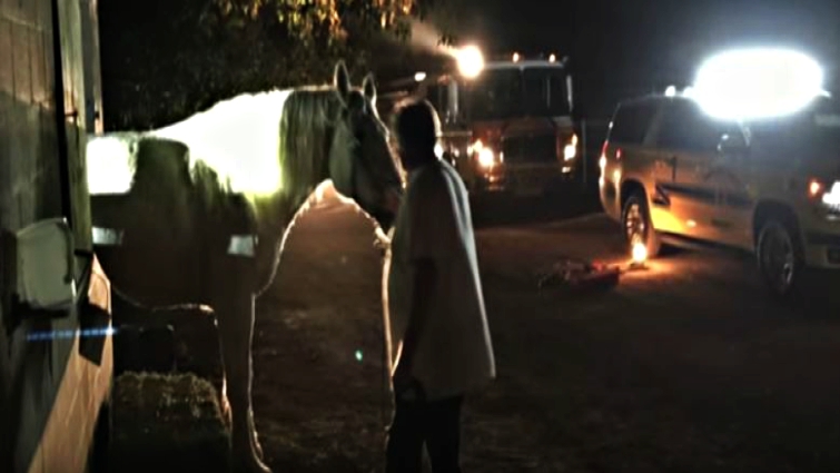 Firefighters working to rescue trapped horse