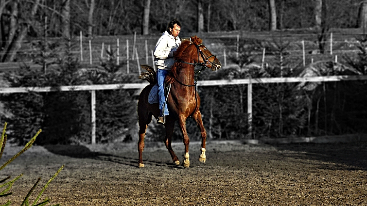 Horse spooking at objects on the trail