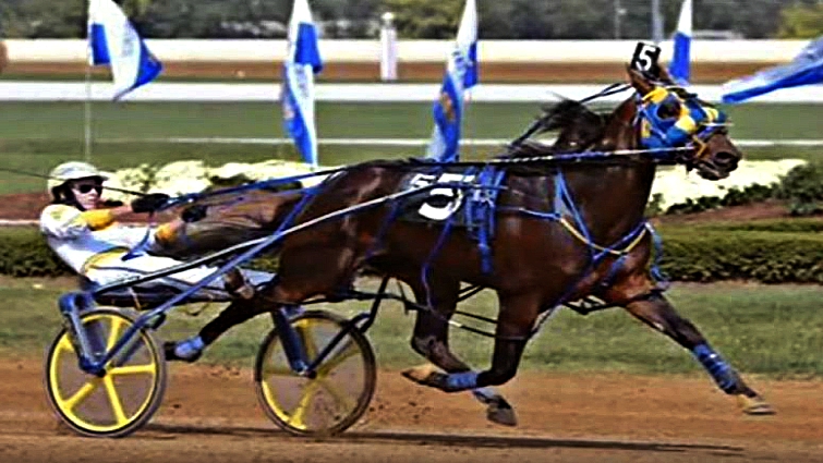 Winning pacer mare in action