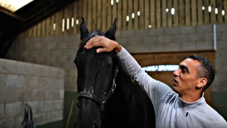 Soldier reuniting with royal guard horse