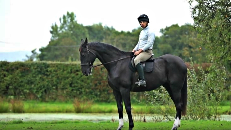 Horse and handler bonding