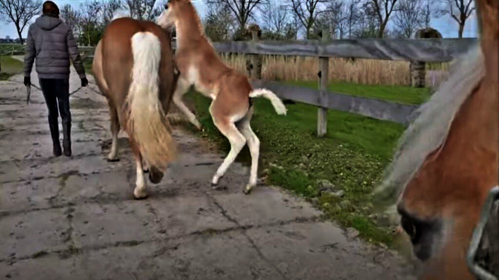 This image has an empty alt attribute; its file name is strud3.jpg