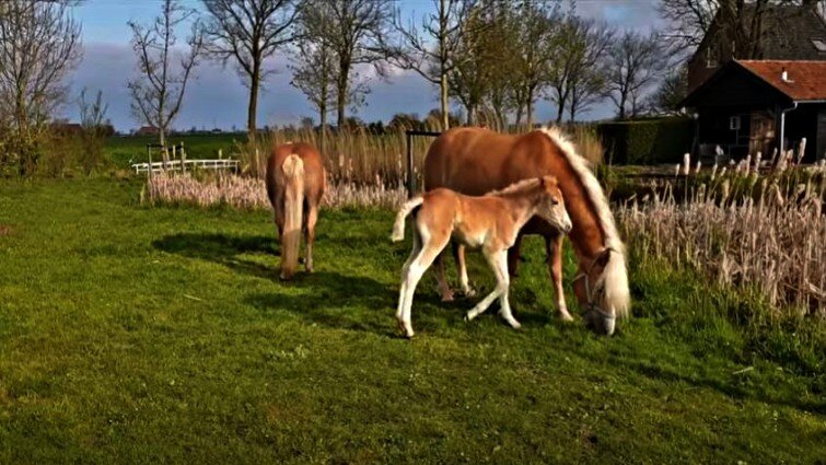 This image has an empty alt attribute; its file name is strud6.jpg